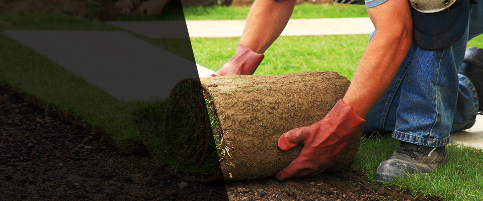 Satellite Beach Landscapers